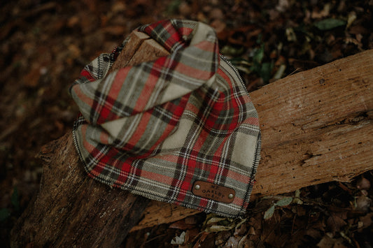 Harvest Bandana