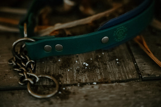 Summit Layer Martingale