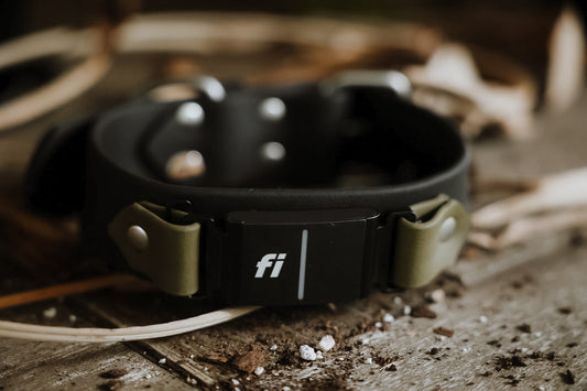 Trailhead 1.5" Fi-Compatible Collar - Series 3/3+