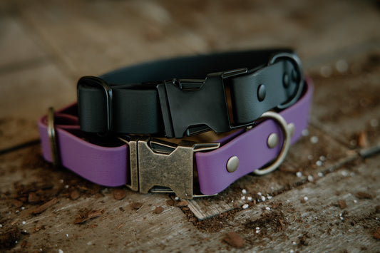 Crest press release buckle collar