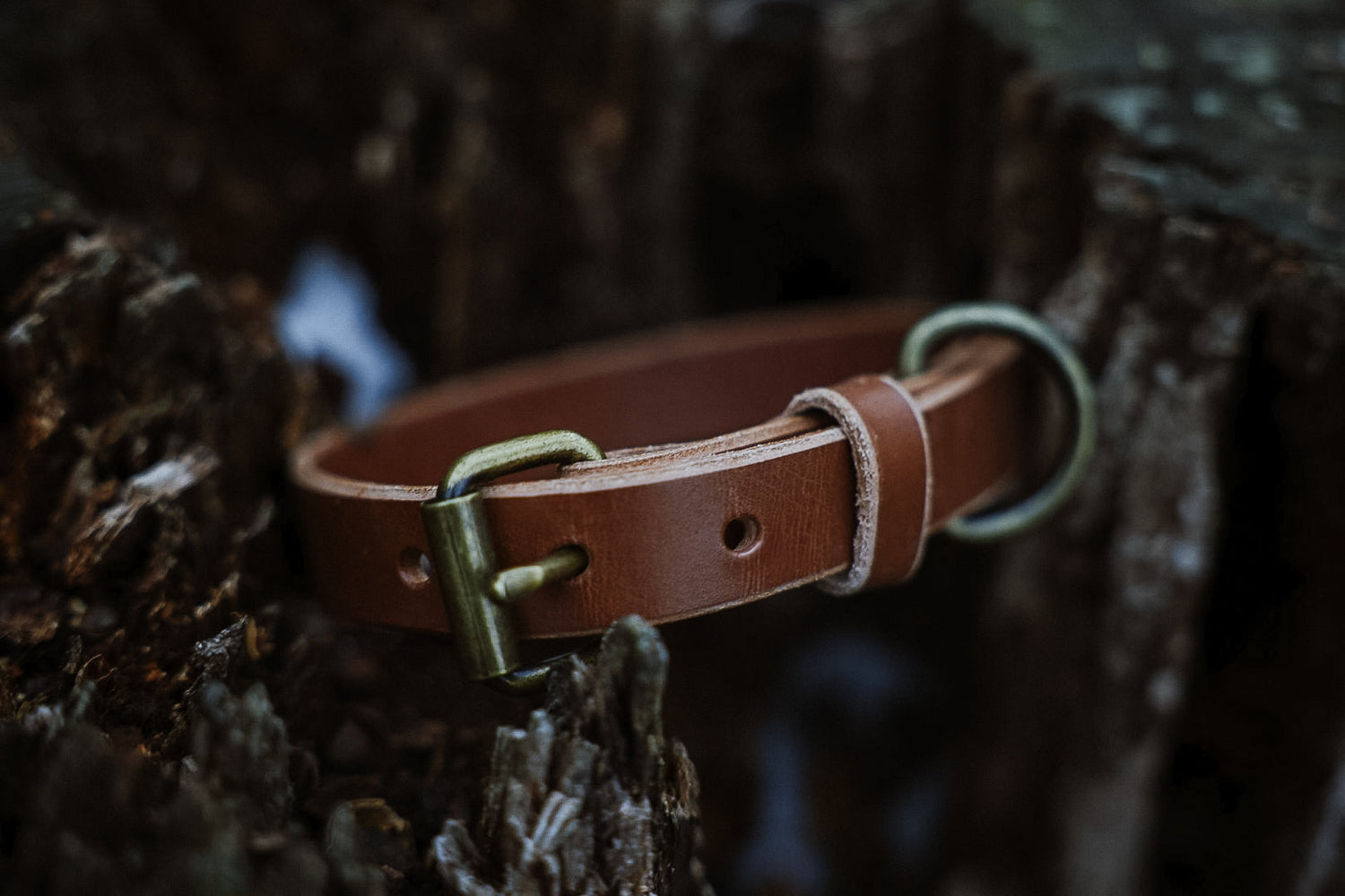 Leather Collars