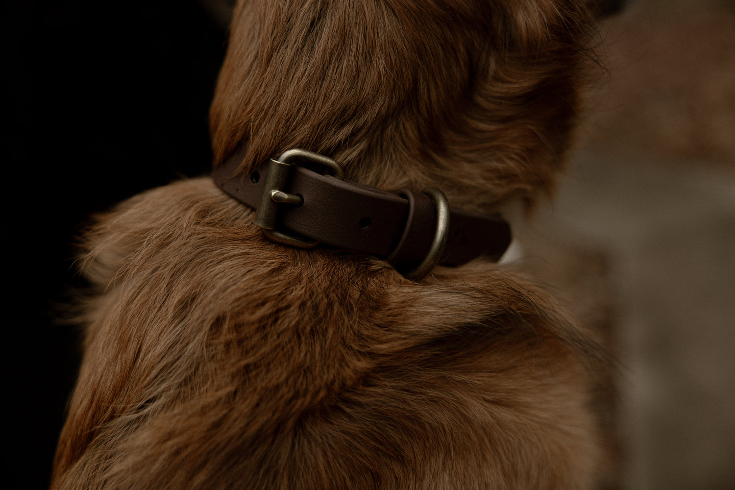 Waterproof Collars