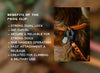 Trailhead Leash - Frog Clip
