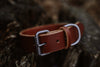 Oakley Collar