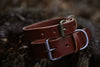 Oakley Collar