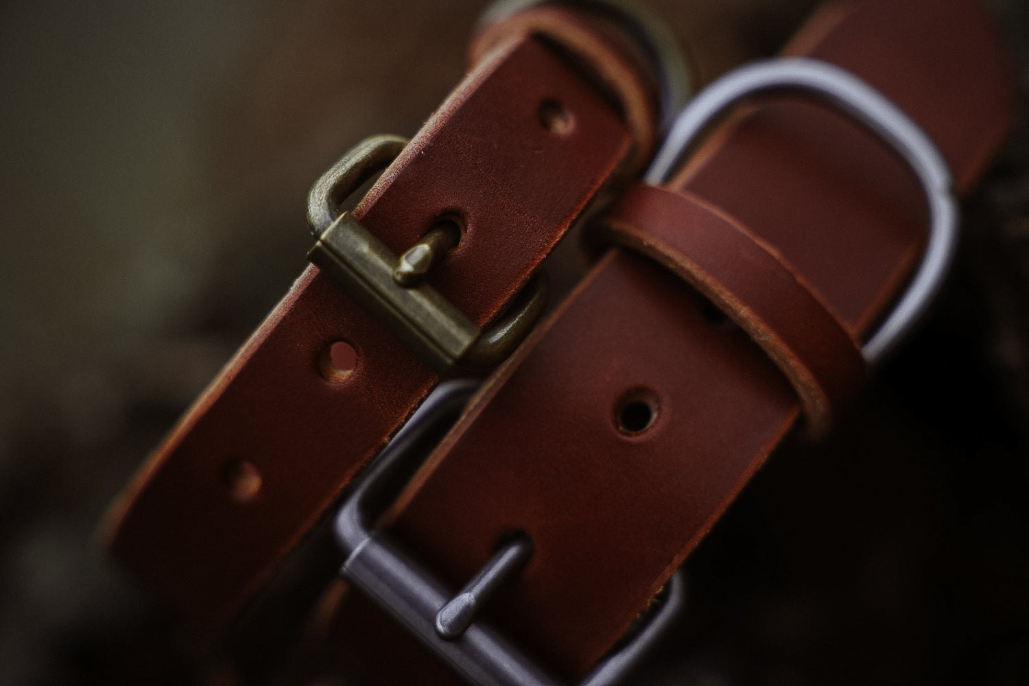 Leather Buckle Collars