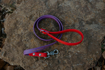Two Tone Leash
