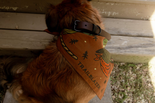 Trailblazer in Training Bandana - Mesa