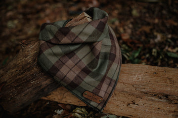 Cedar Bandana