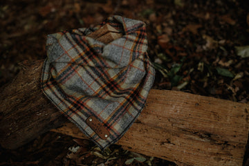 Wylder Bandana