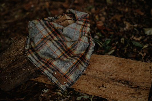Wylder Bandana