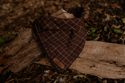 Buffalo Bandana