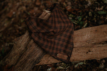Trailhound Bandana