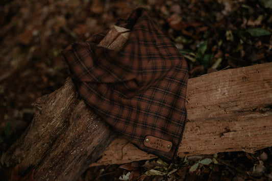 Trailhound Bandana