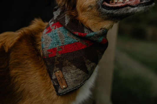 Fireside Bandana