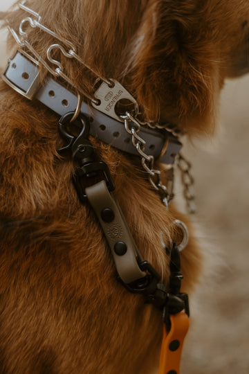 Safety Clip