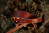 Valentines Oakley Leather Collar - Nickname