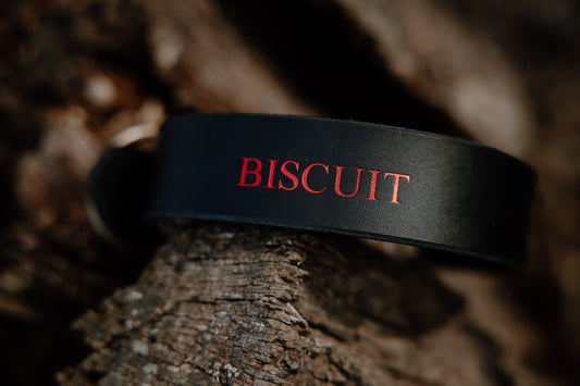 Valentines Oakley Leather Collar - Nickname