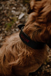 Valentines Oakley Leather Collar - Nickname