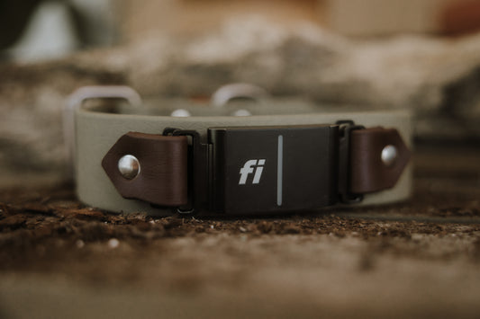 Trailhead 1.5" Fi-Compatible Collar - Series 3/3+