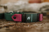 Trailhead 1" two tone  Fi-Compatible Collar - Series 3/3+