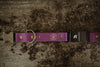 Press release buckle collar 1" Fi-Compatible Collar - Series 3/3+