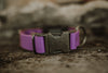 Press release buckle collar 1" Fi-Compatible Collar - Series 3/3+