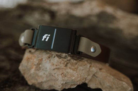 Trailhead 1"  Fi-Compatible Collar - Series 3/3+