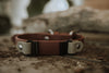 Trailhead 1"  Fi-Compatible Collar - Series 3/3+