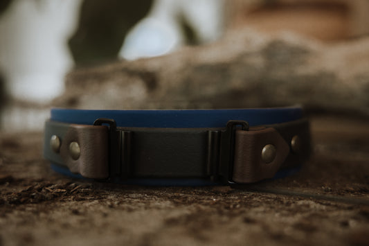 Trailhead Layered Fi-Compatible Collar - Series 3/3+
