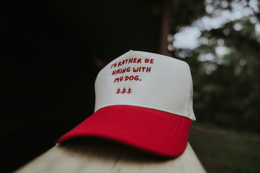I'd rather be hiking with my dog Hat