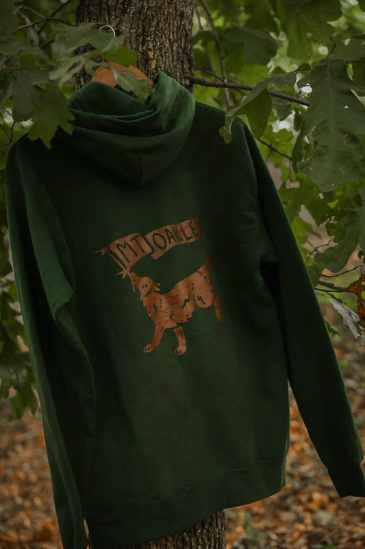 Journey Ecosmart Hooded Sweatshirt