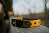 Two Tone 1" Fi-Compatible Collar - Series 3/3+