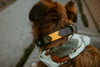 Two Tone 1" Fi-Compatible Collar - Series 3/3+