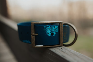 Monstera Trailhead Collar