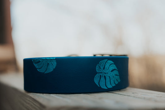 Monstera Trailhead Collar