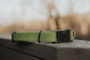 Monstera Crest press release buckle collar