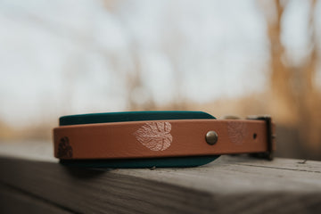 Monstera Layered Trailhead collar