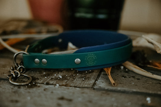 Summit Layer Martingale
