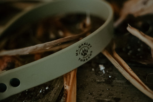 Summit Chain Martingale