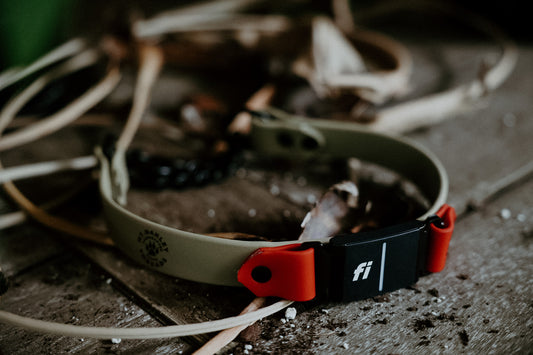 Summit Chain Martingale Fi Compatible - Series 3/3+