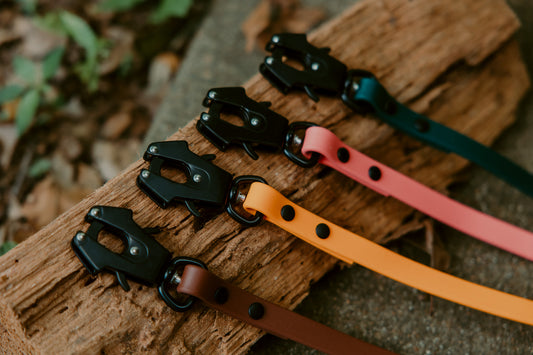 Trailhead Leash - Frog Clip