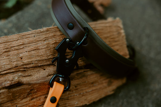 Trailhead Leash - Frog Clip