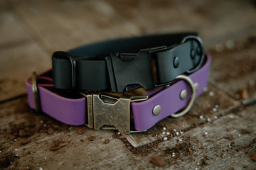 Crest press release buckle collar
