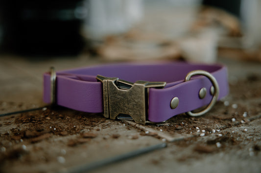 Crest press release buckle collar