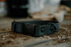 Crest press release buckle collar