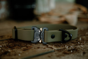 Crest cobra buckle collar