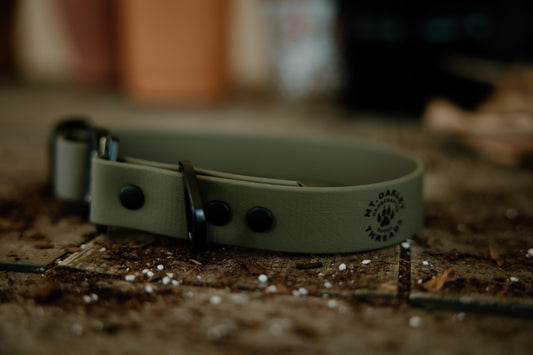 Crest cobra buckle collar