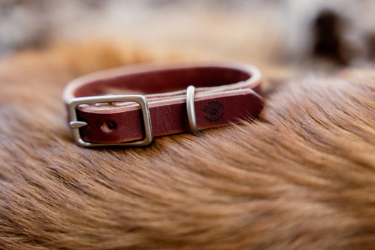 Hurley Mini Leather Collar