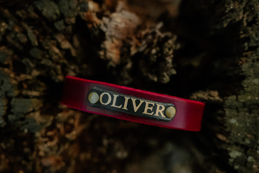 Limited Edition Valentines - Oakley Leather Name Tag Collar